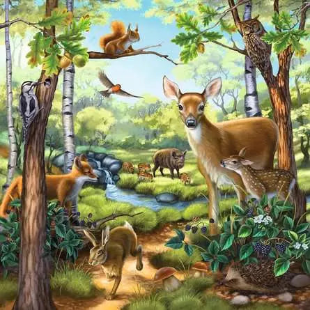 Forest/Zoo/Domestic Animals - 3x49 pc | Ravensburger