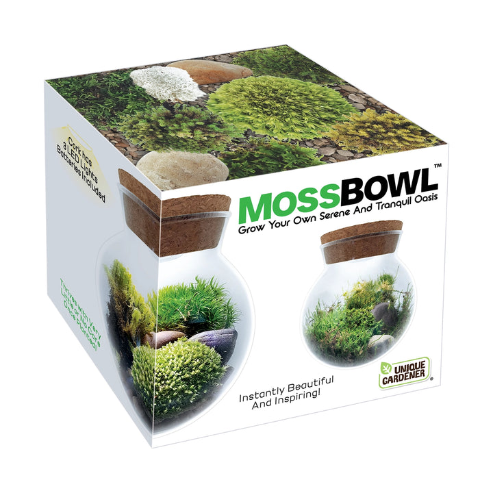 Mossbowl Glass Terrarium