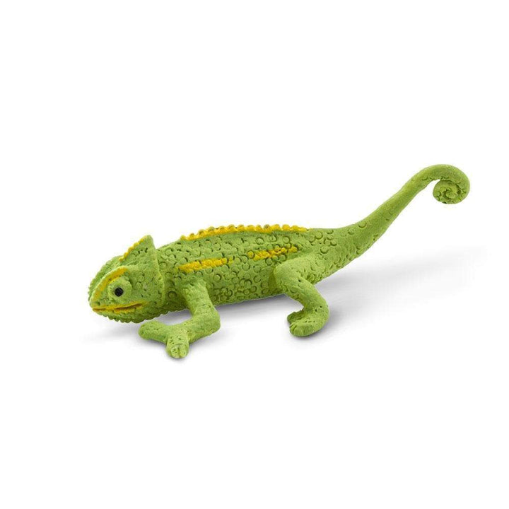 Chameleons | Good Luck Minis