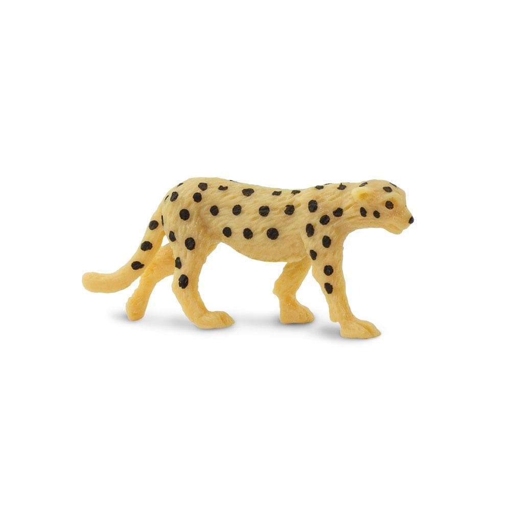 Cheetahs | Good Luck Minis