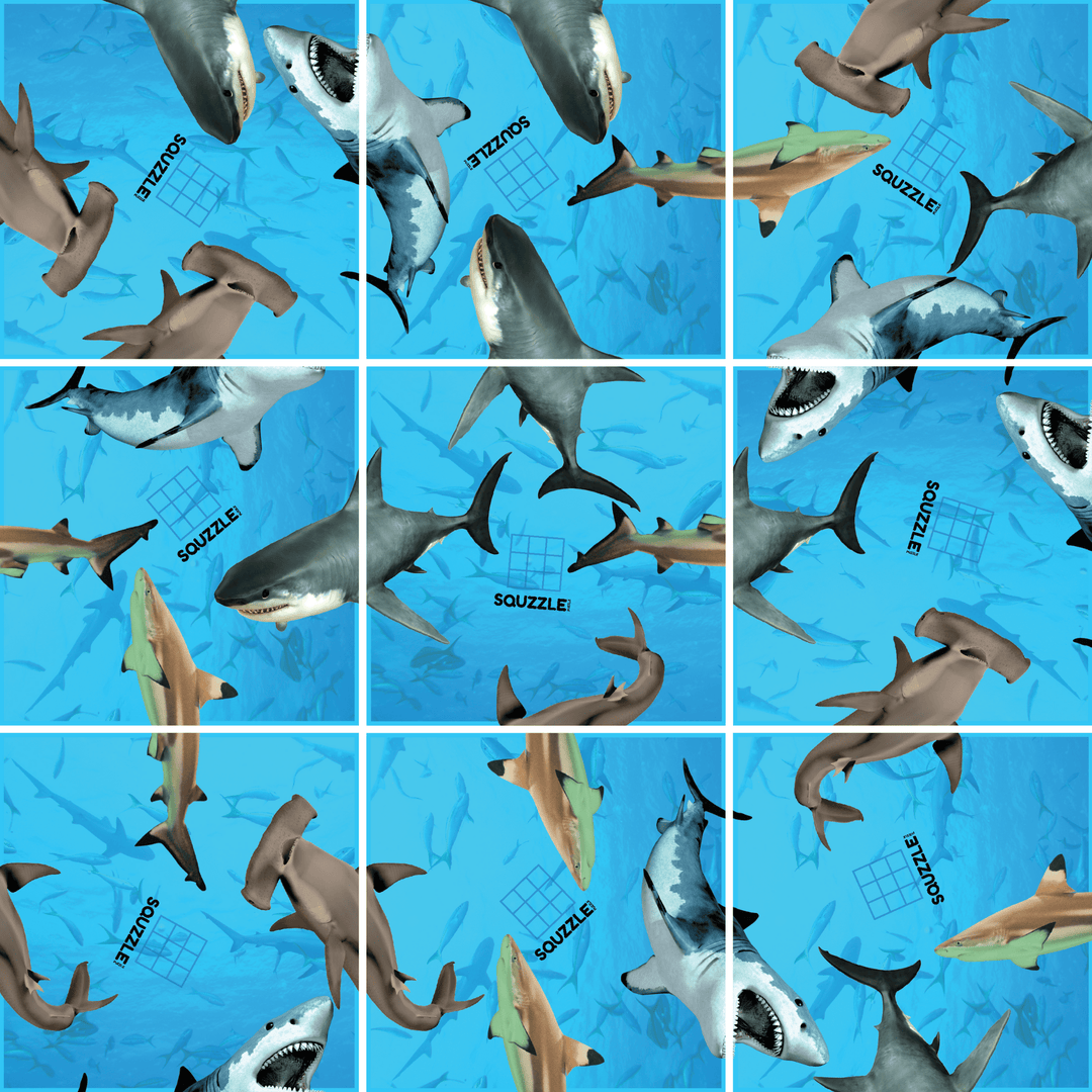 Shark Squzzle Puzzle | Fun Squared Games