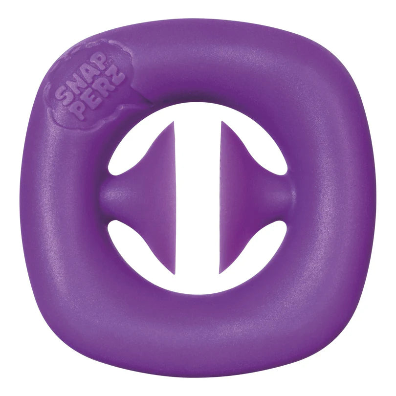 Snapperz Fidget Toy | Toysmith