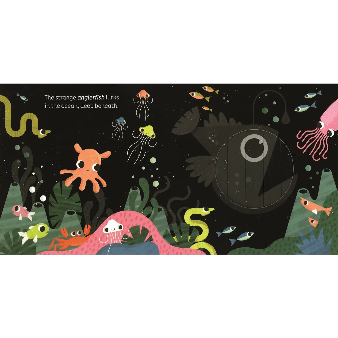 Magic Window: in the Ocean