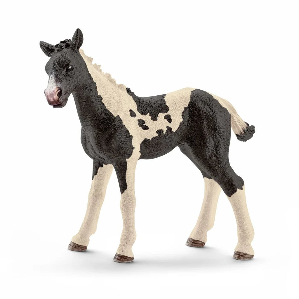 Pinto Foal | Schleich