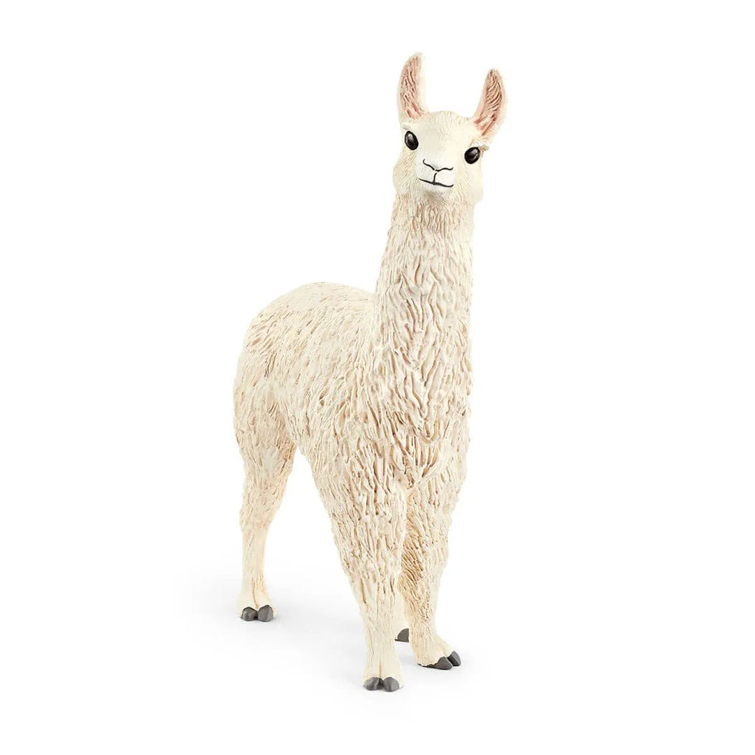 Llama | Schleich