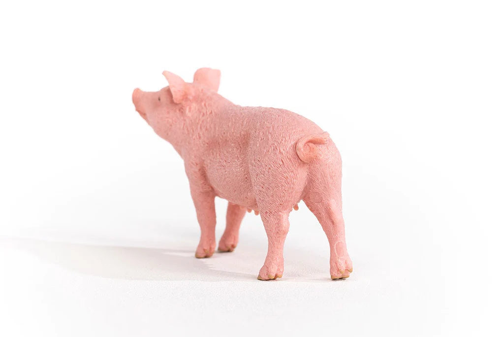 Pig | Schleich