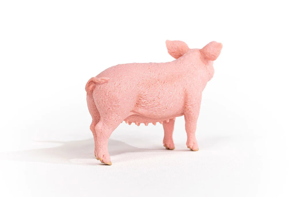 Pig | Schleich