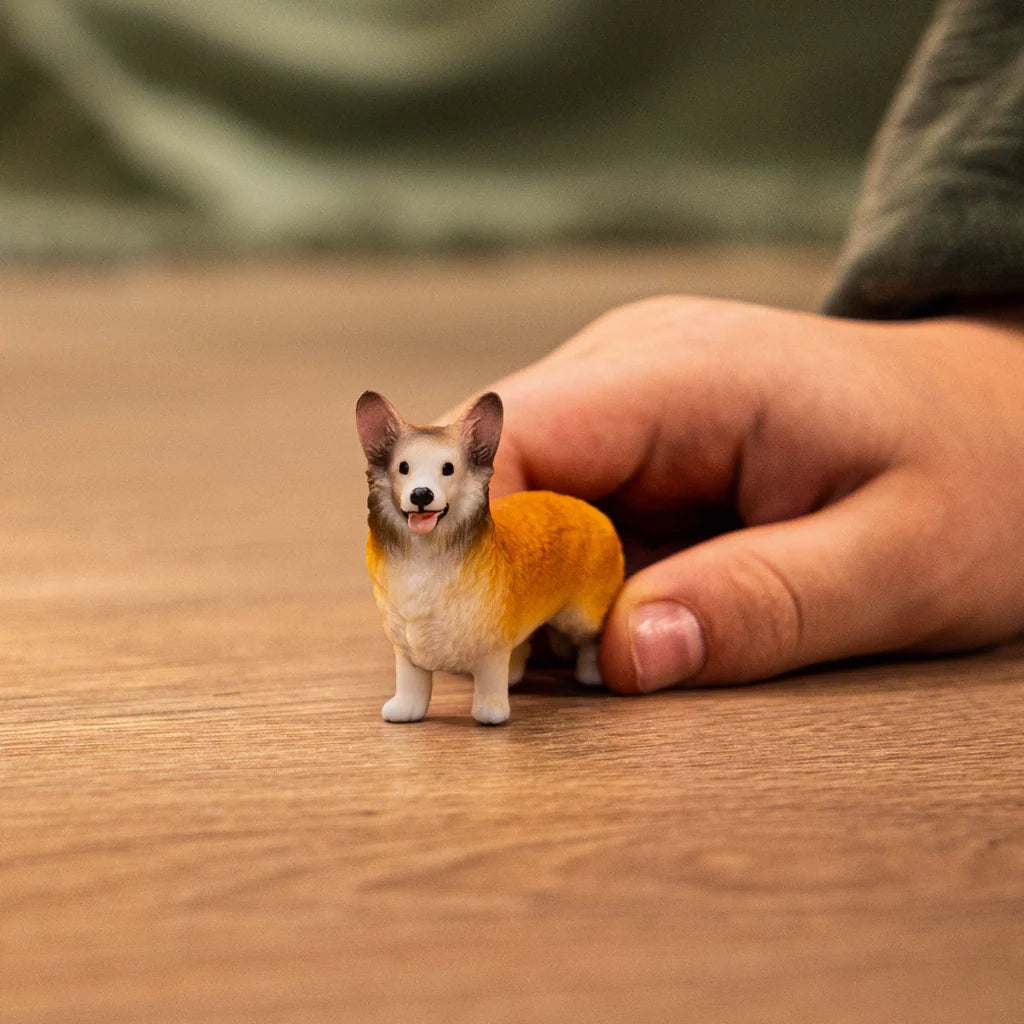 Welsh Corgi | Schleich