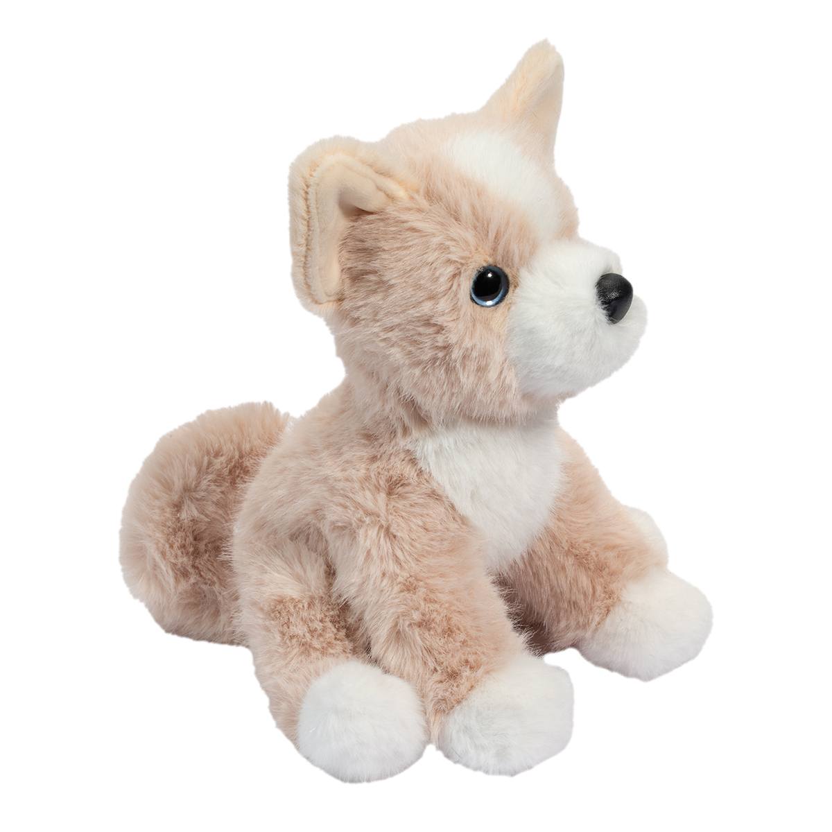 Pookie Pomsky Mini Soft | Douglas