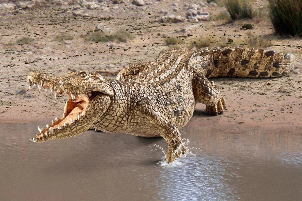 Crocodile | Schleich