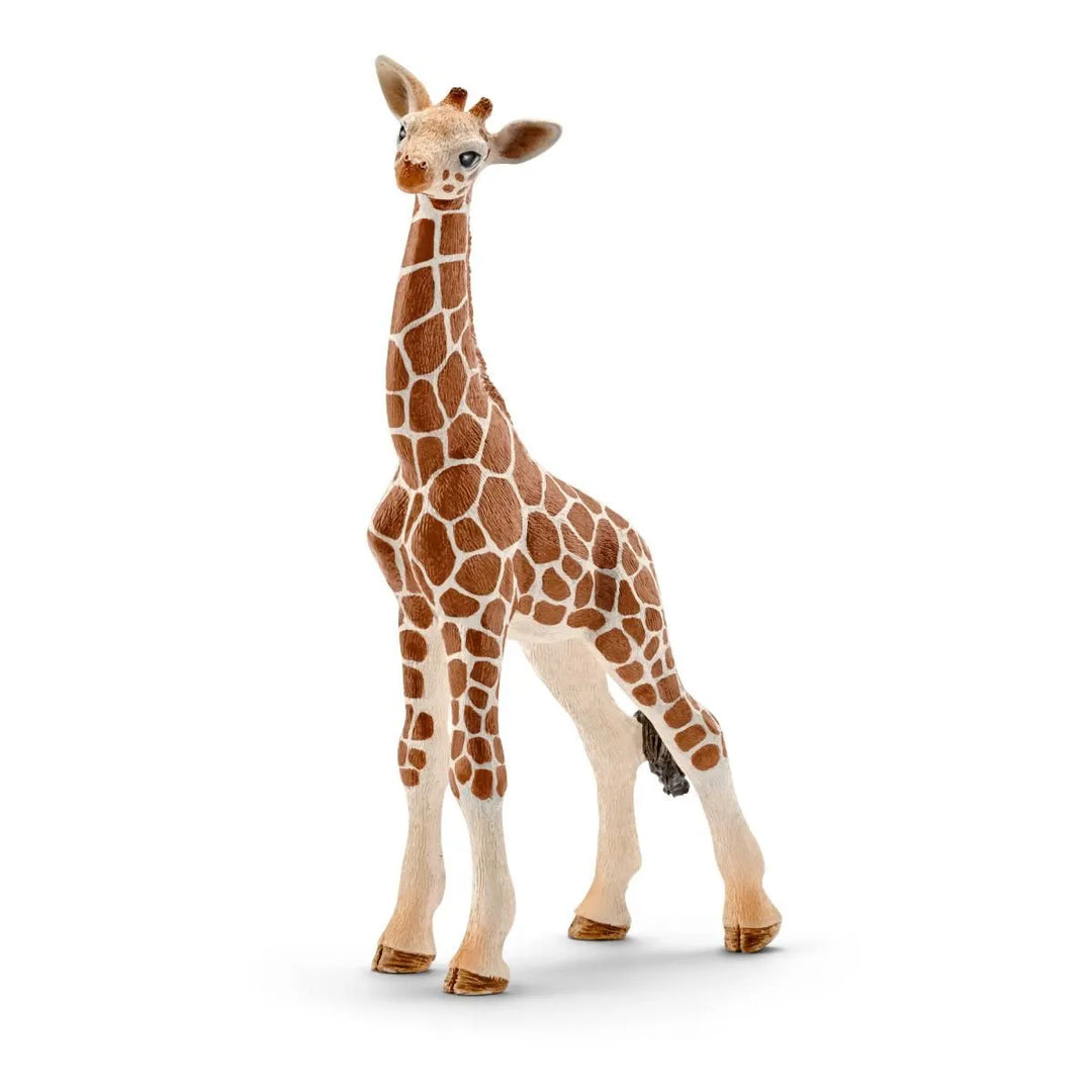 Giraffe Calf | Schleich