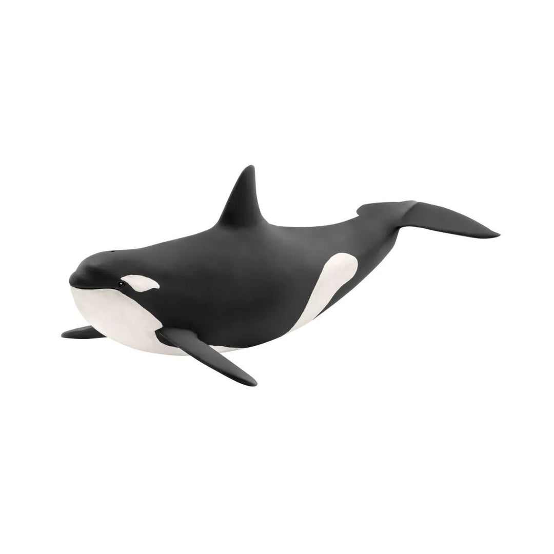 Killer Whale | Schleich