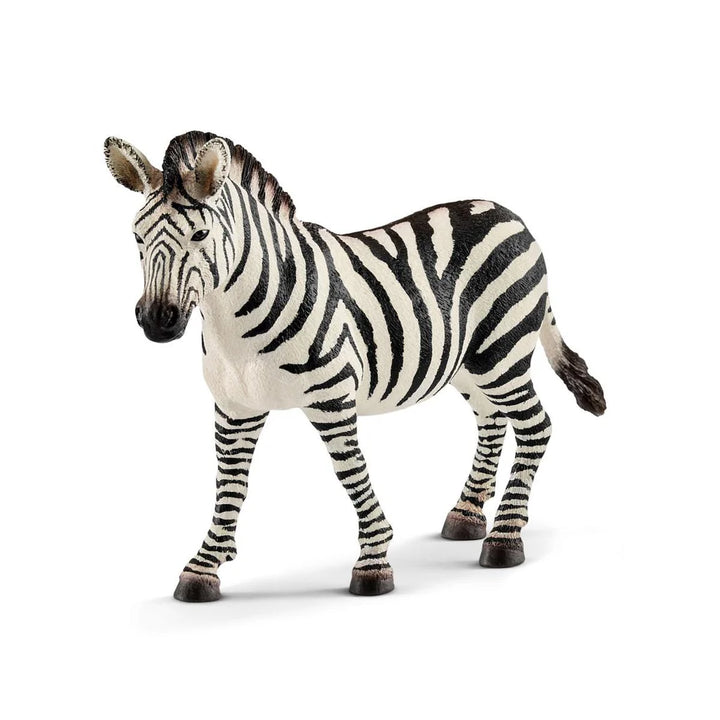 Zebra Female | Schleich