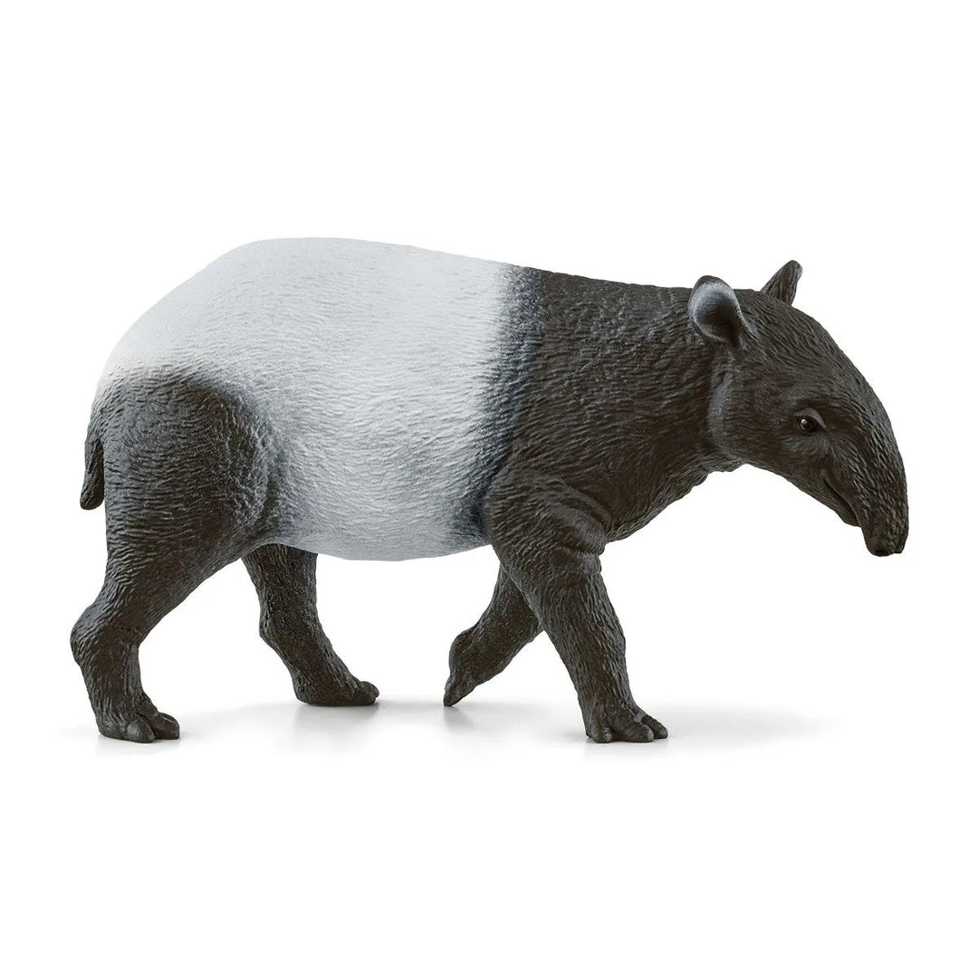 Tapir | Schleich