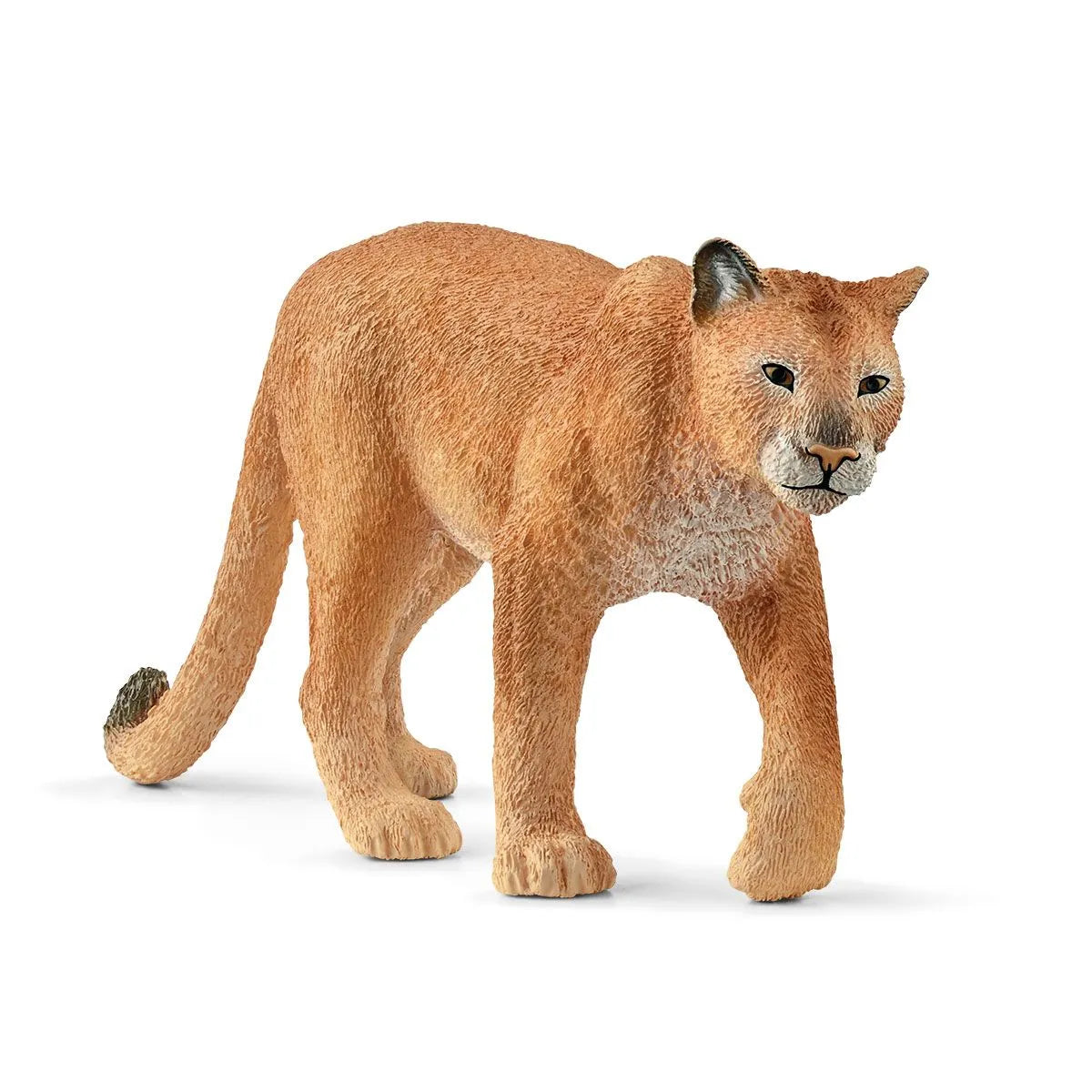 Cougar | Schleich
