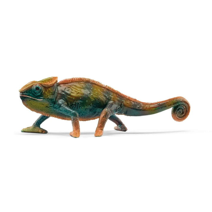 Chameleon | Schleich