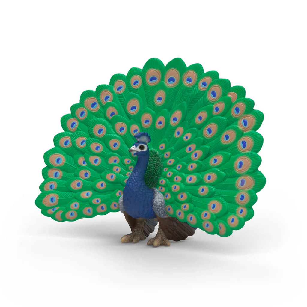 Peacock | Schleich