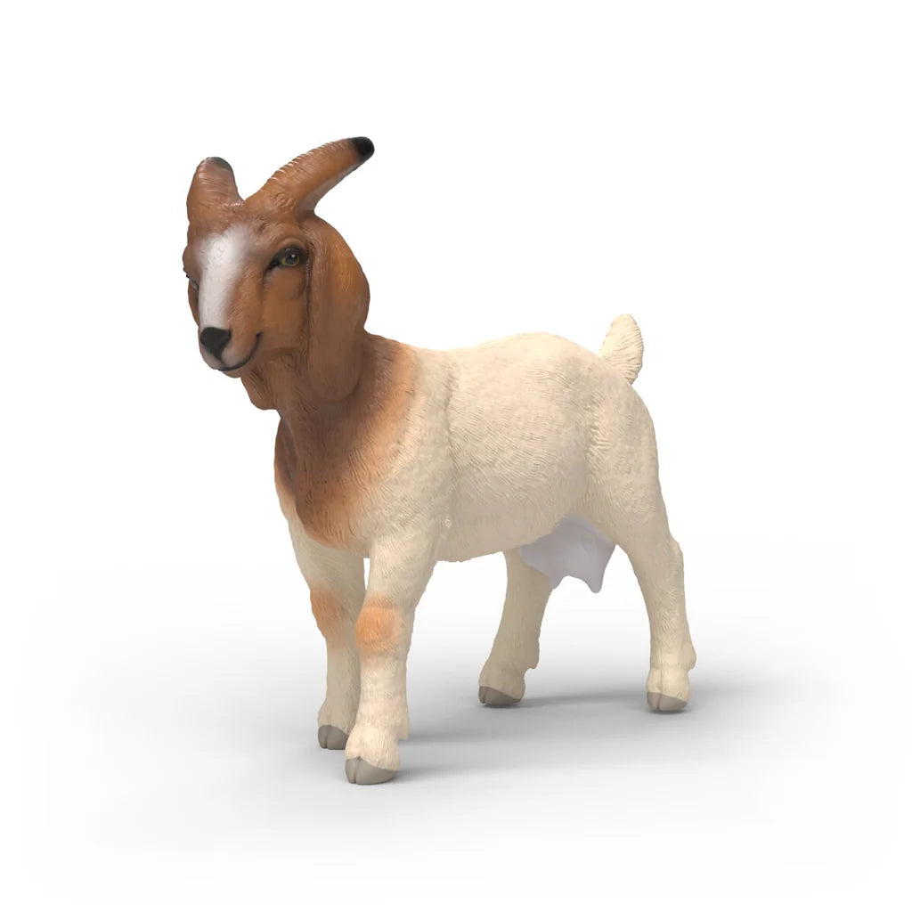 Boer Goat | Schleich