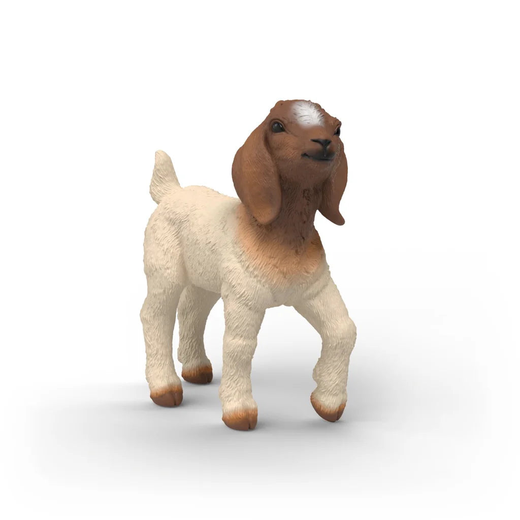 Boer Goat Kid | Schleich
