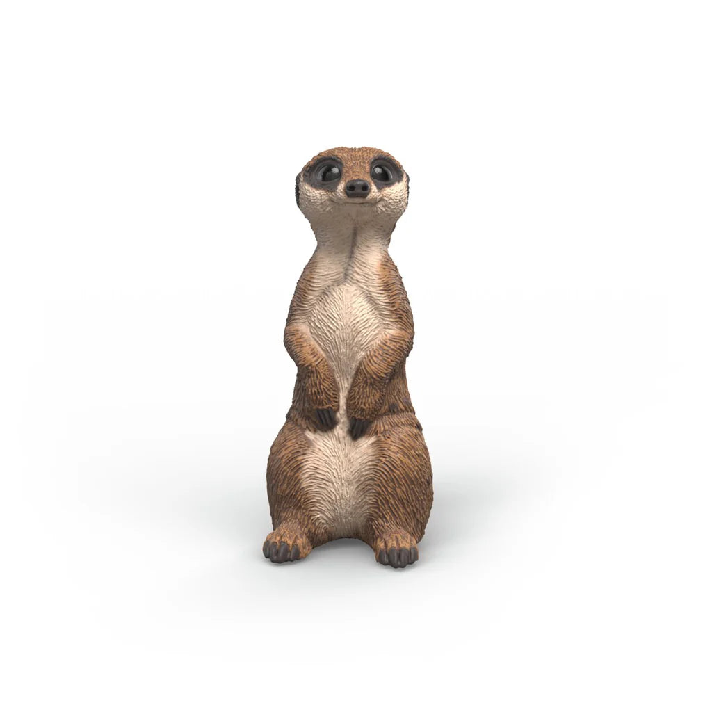 Meerkat | Schleich
