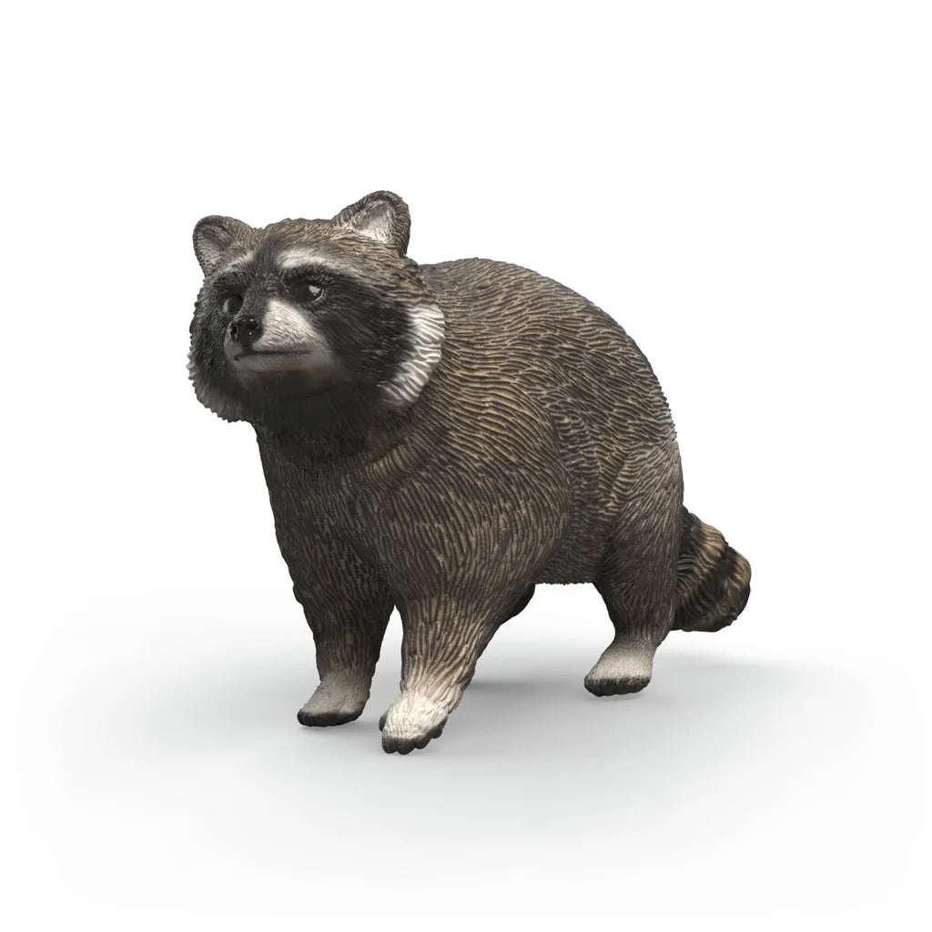 Racoon | Schleich