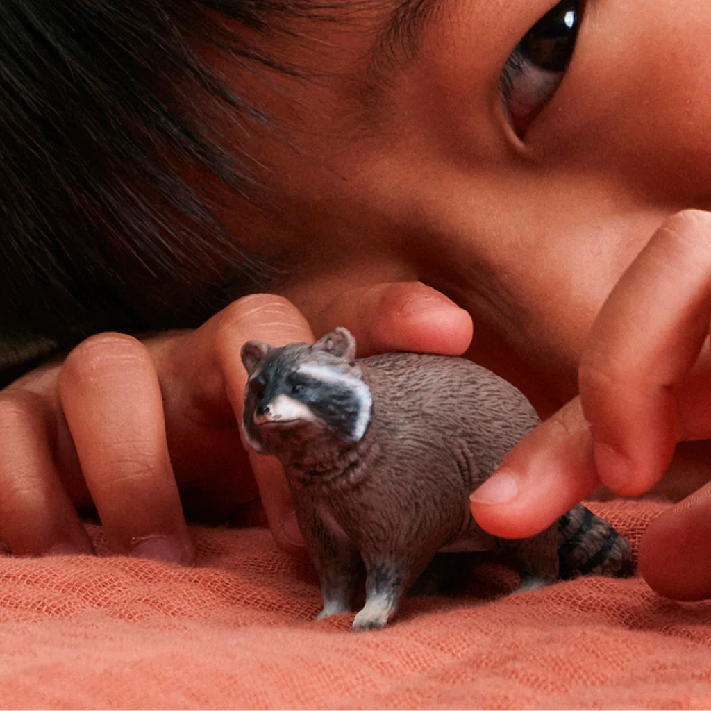 Racoon | Schleich