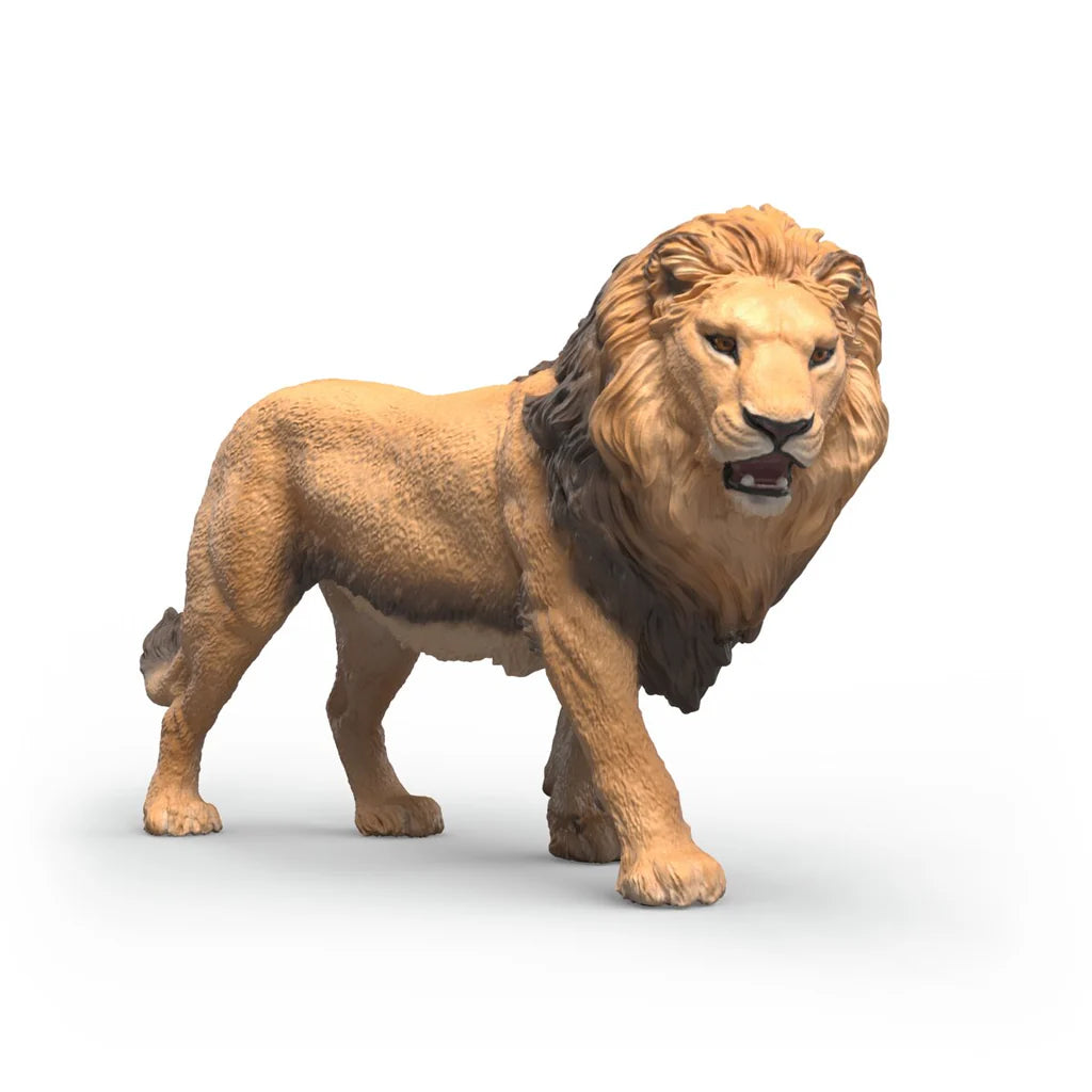 African Lion | Schleich