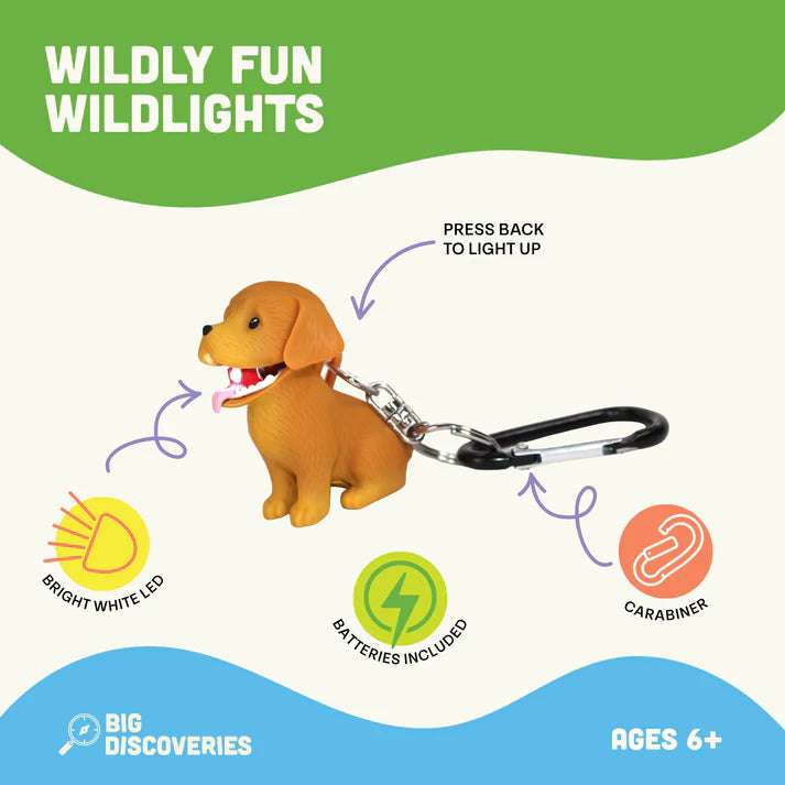 WildLight Dog - Retriever | Big Discoveries