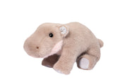 Nibbles Pygmy Hippo | Douglas
