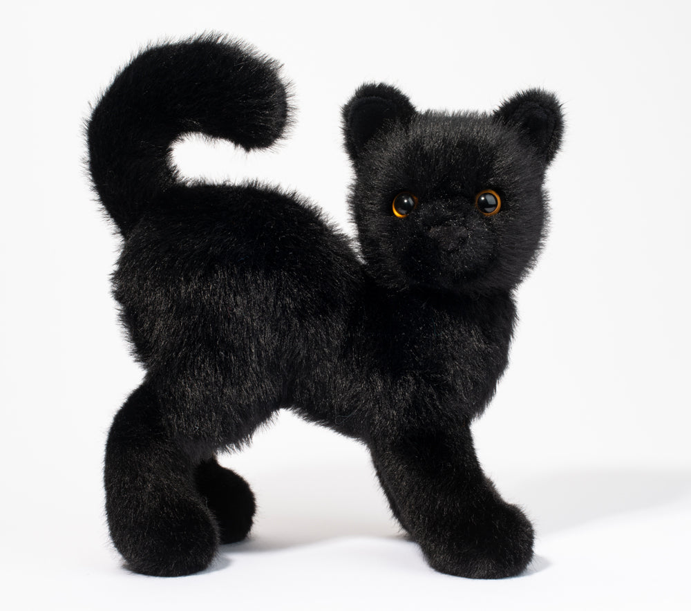 Scaredy Black Cat | Douglas