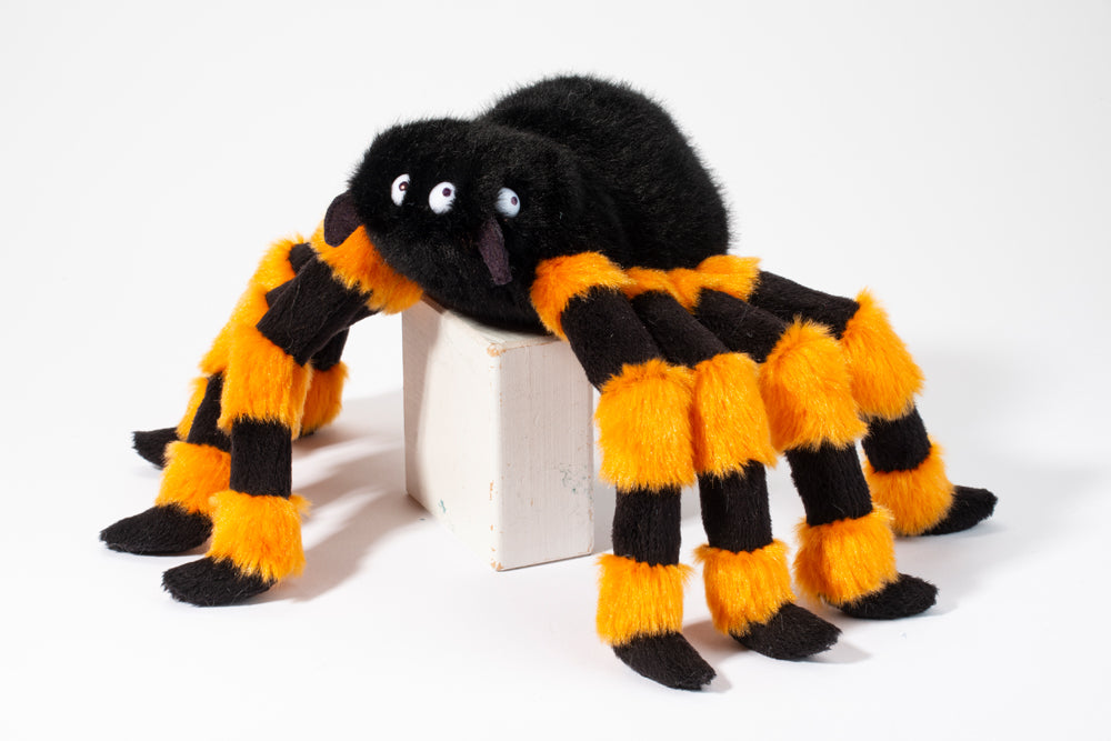 Harry Halloween Spider | Douglas