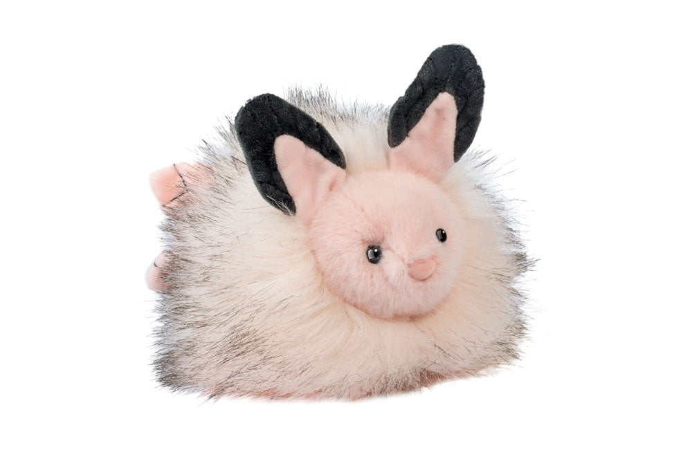 Skimmer Sea Bunny Slug | Douglas