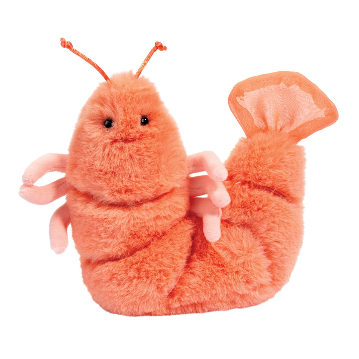 Salty Shrimp | Douglas