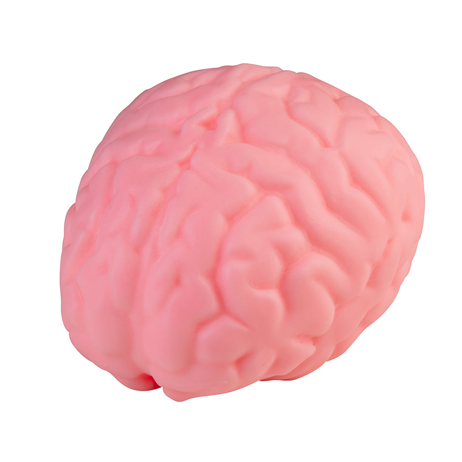 Easy Sqweezy Jumbo Brainy | ORB