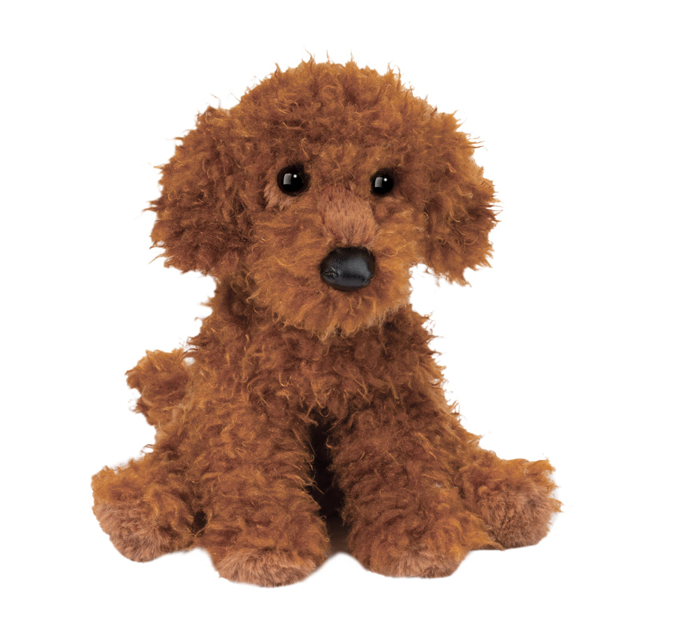 Ginger Miniature Poodle | Douglas