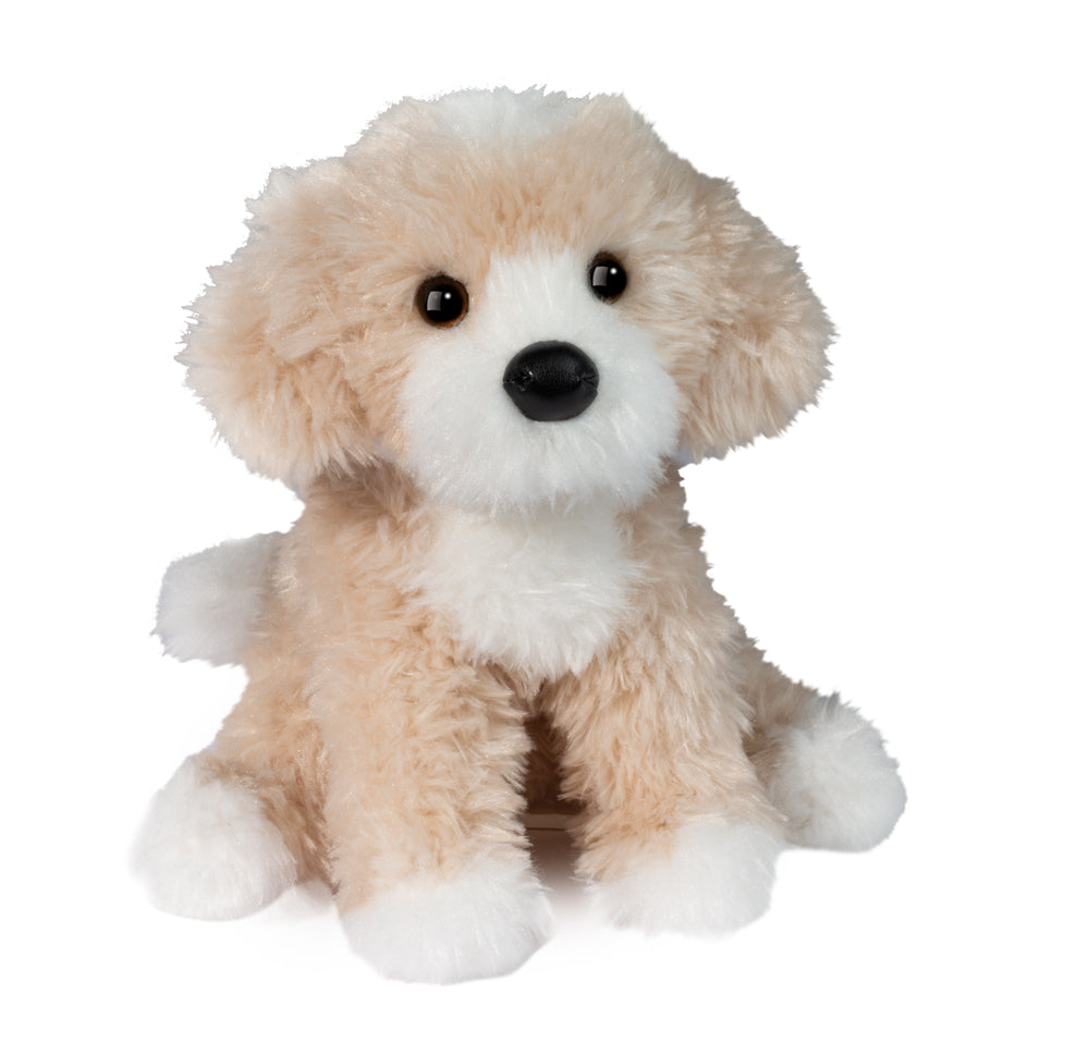 Darcy Goldendoodle | Douglas