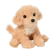Noodle Goldendoodle | Douglas