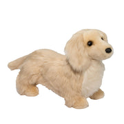 Haisley Golden Dachshund | Douglas