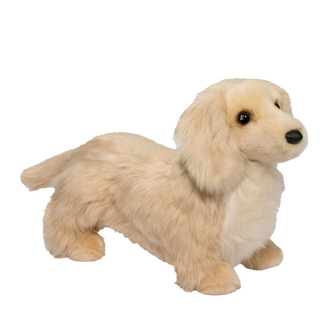 Haisley Golden Dachshund | Douglas