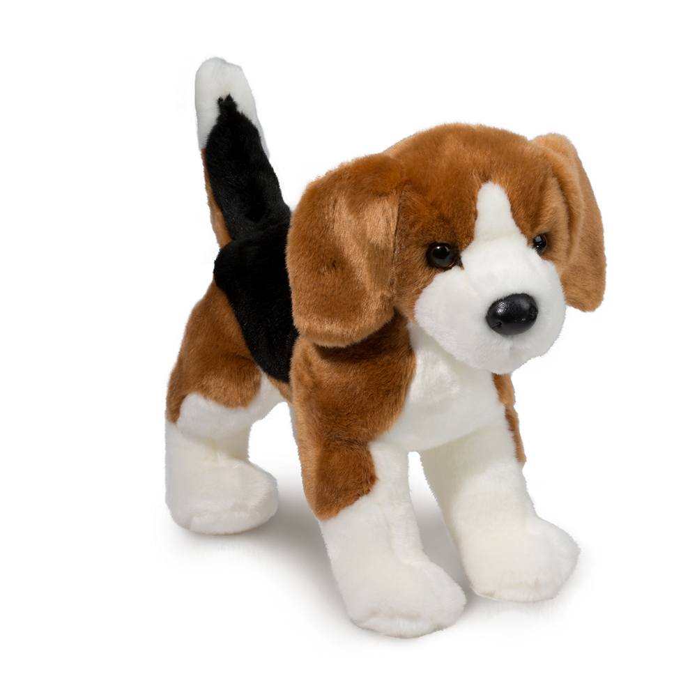 Bernie Beagle | Douglas