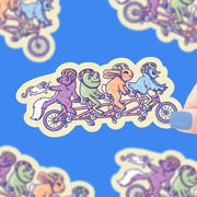 Biking Critters | Turtle's Soup