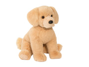 Denali Golden Retriever | Douglas