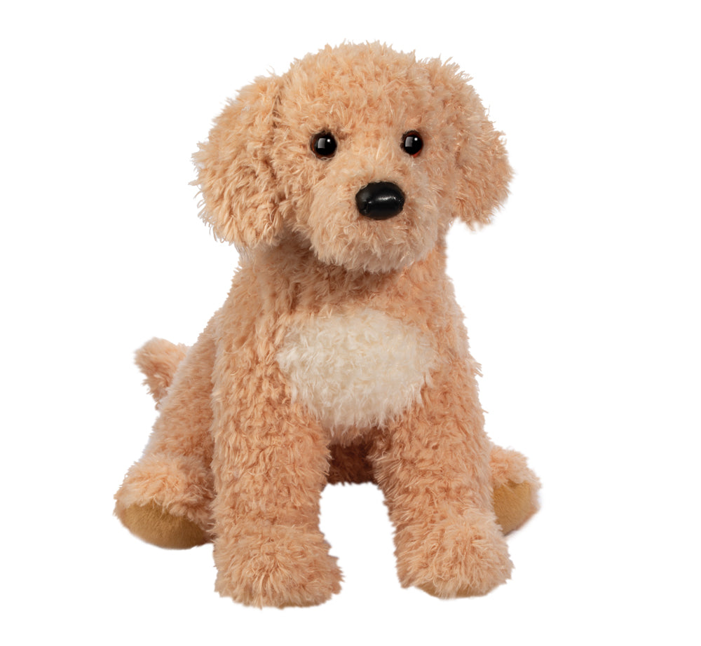 Noodle Goldendoodle | Douglas