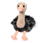 Omar Ostrich | Douglas