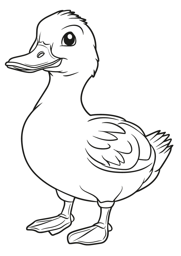 Farm Friends XXL Coloring Book | Nova Toys - LOCAL PICKUP ONLY
