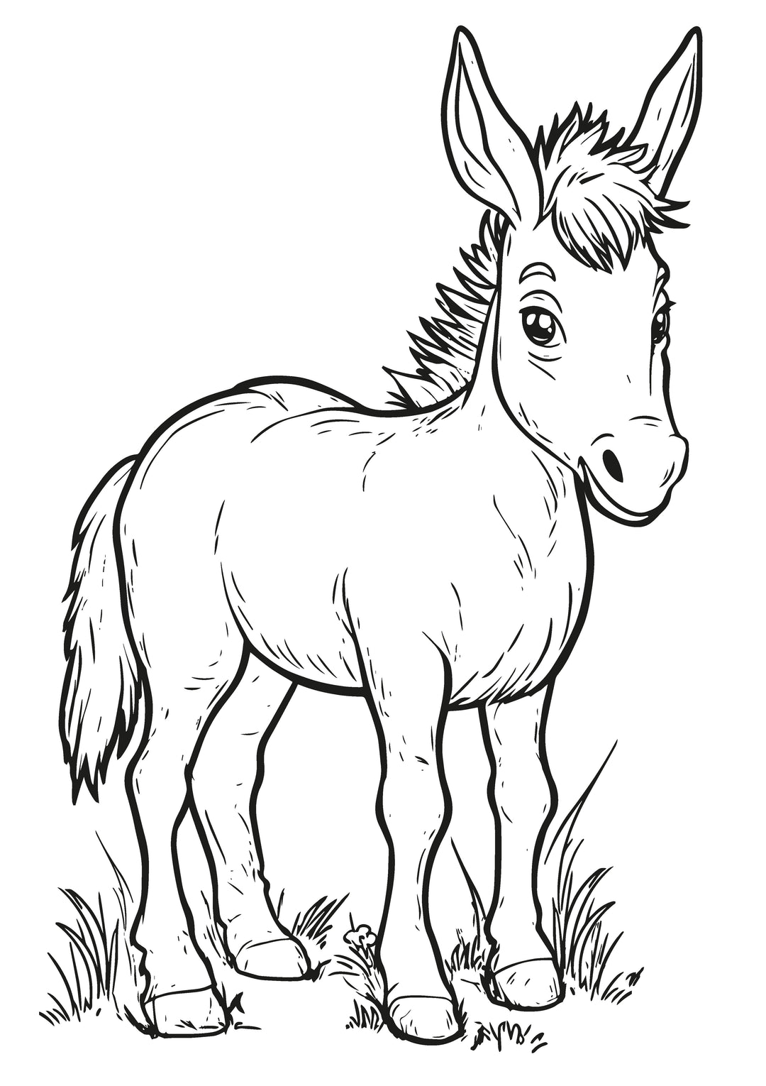 Farm Friends XXL Coloring Book | Nova Toys - LOCAL PICKUP ONLY