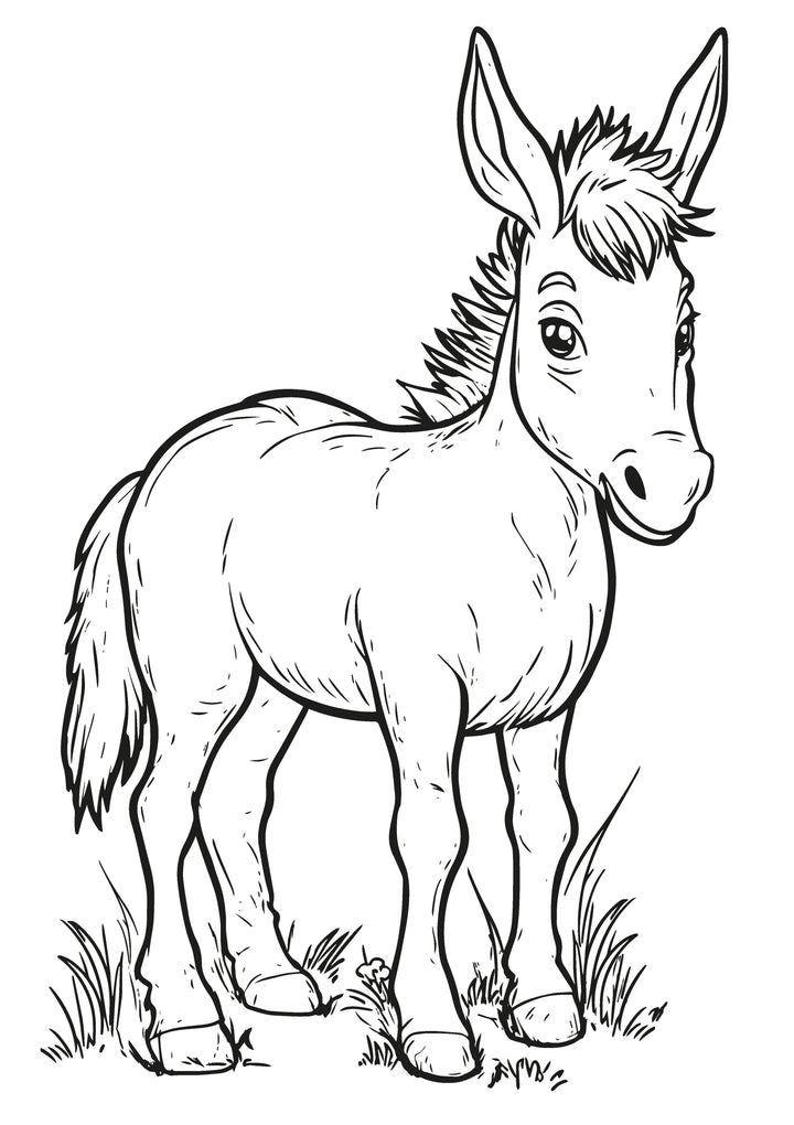 Farm Friends XXL Coloring Book | Nova Toys - LOCAL PICKUP ONLY