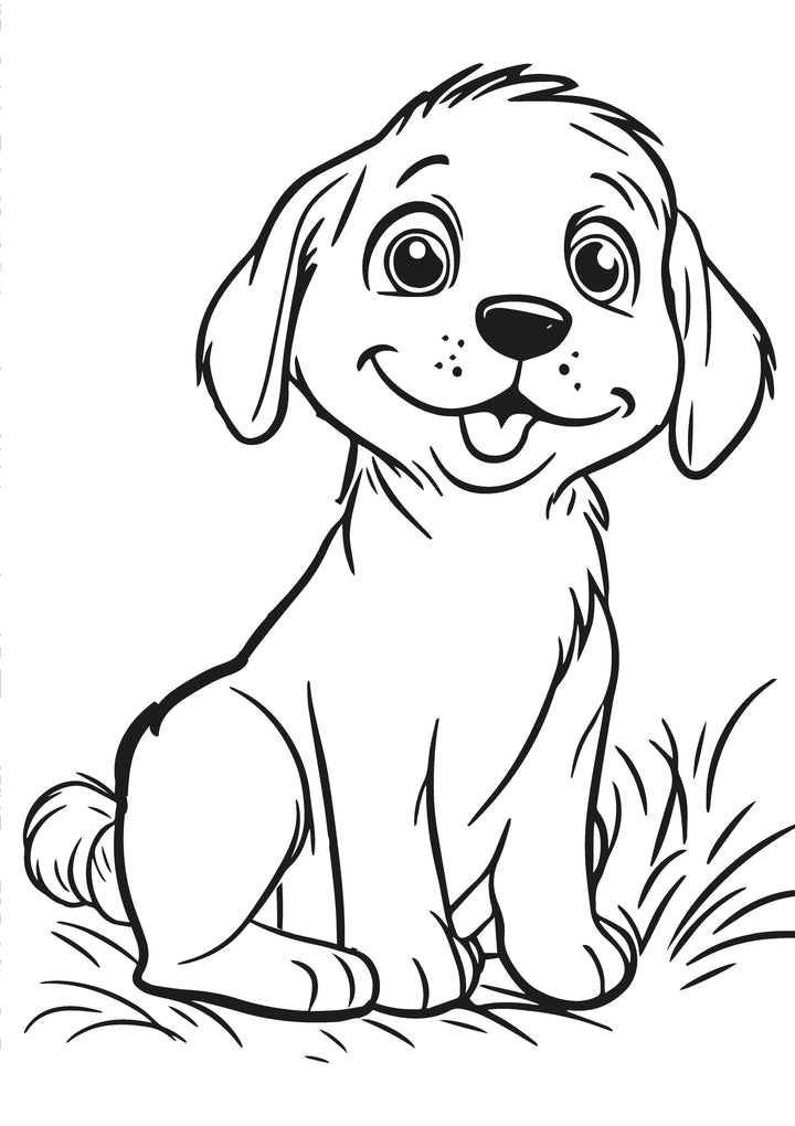 Farm Friends XXL Coloring Book | Nova Toys - LOCAL PICKUP ONLY