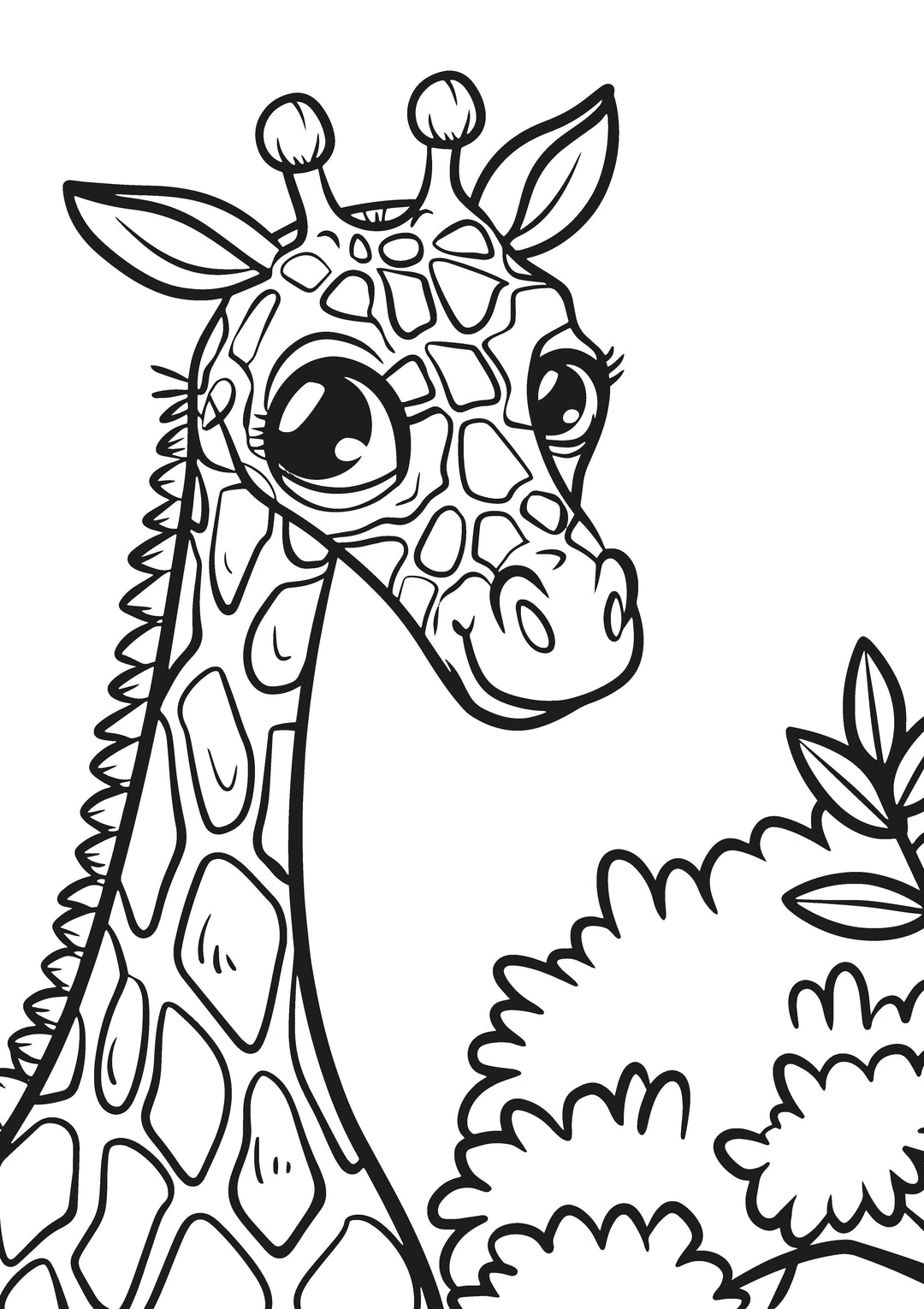 Animal Kingdom XXL Coloring Book | Nova Toys - LOCAL PICKUP ONLY