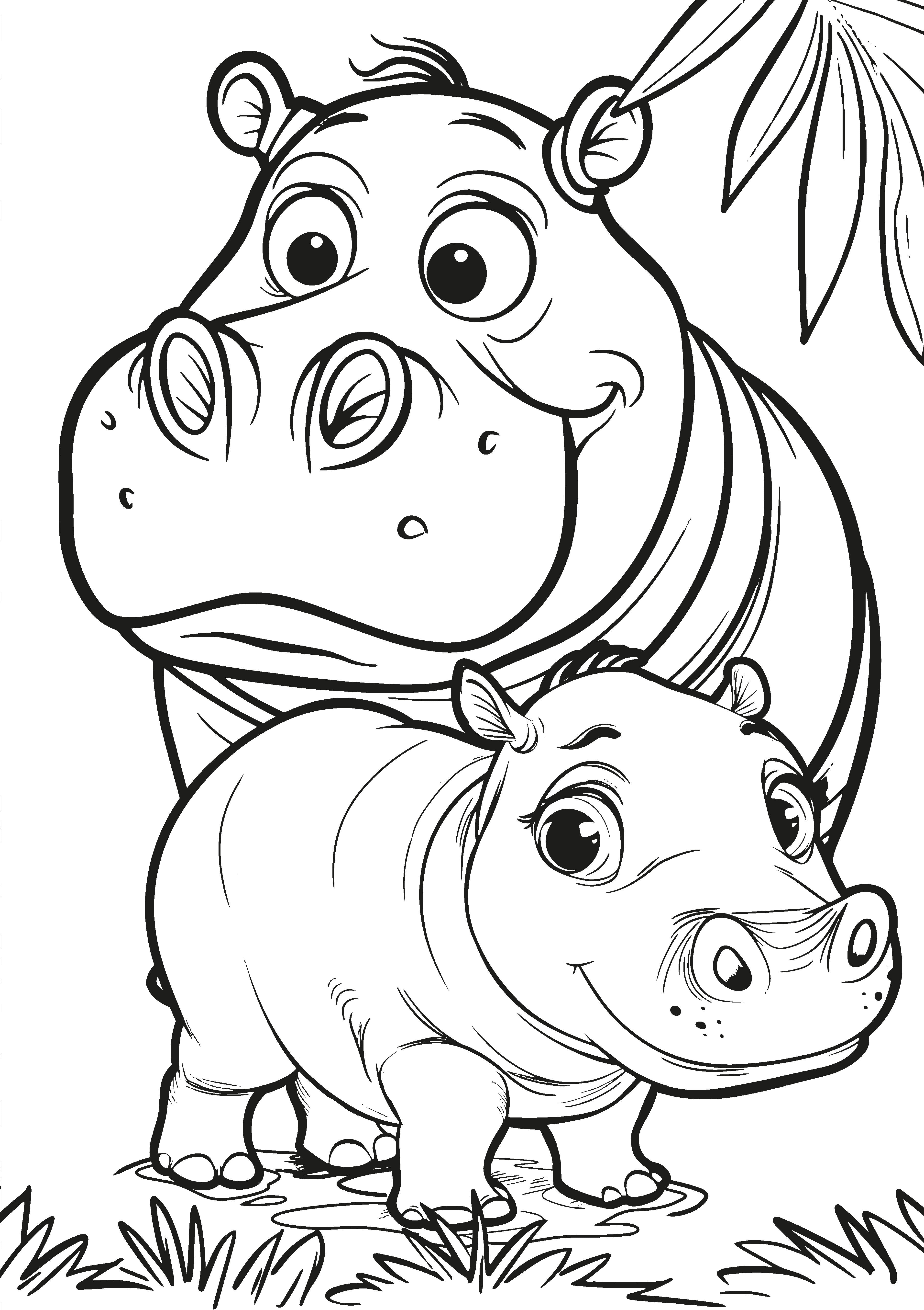 Animal Kingdom XXL Coloring Book | Nova Toys - LOCAL PICKUP ONLY